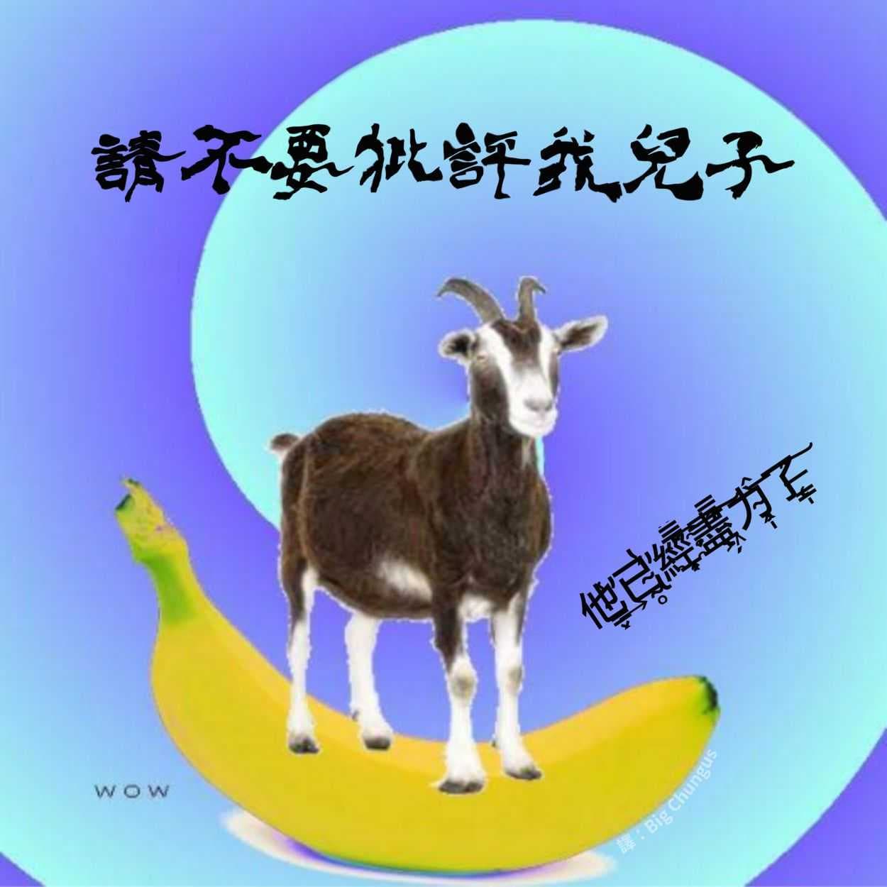 🐐🐐🐐🐐🐐 - 梗圖板 | Dcard