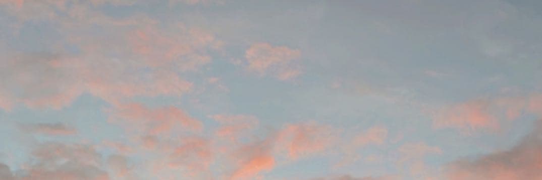 白馬王子絕緣體