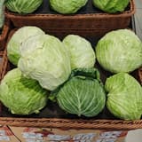 淡淡