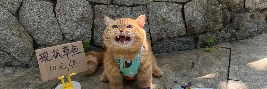 瑪哈嘎拉