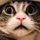 可安