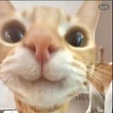 jason_1.2.2.0