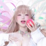 vlolipop