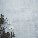della__tarot