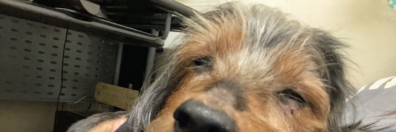 妳也太沒節操了吧