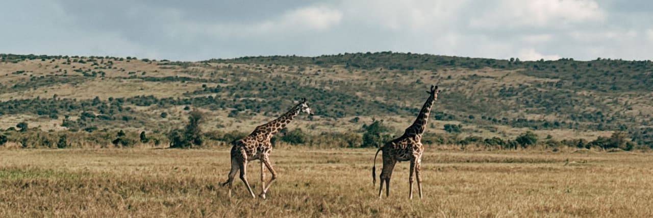 檸檬飲料🥤