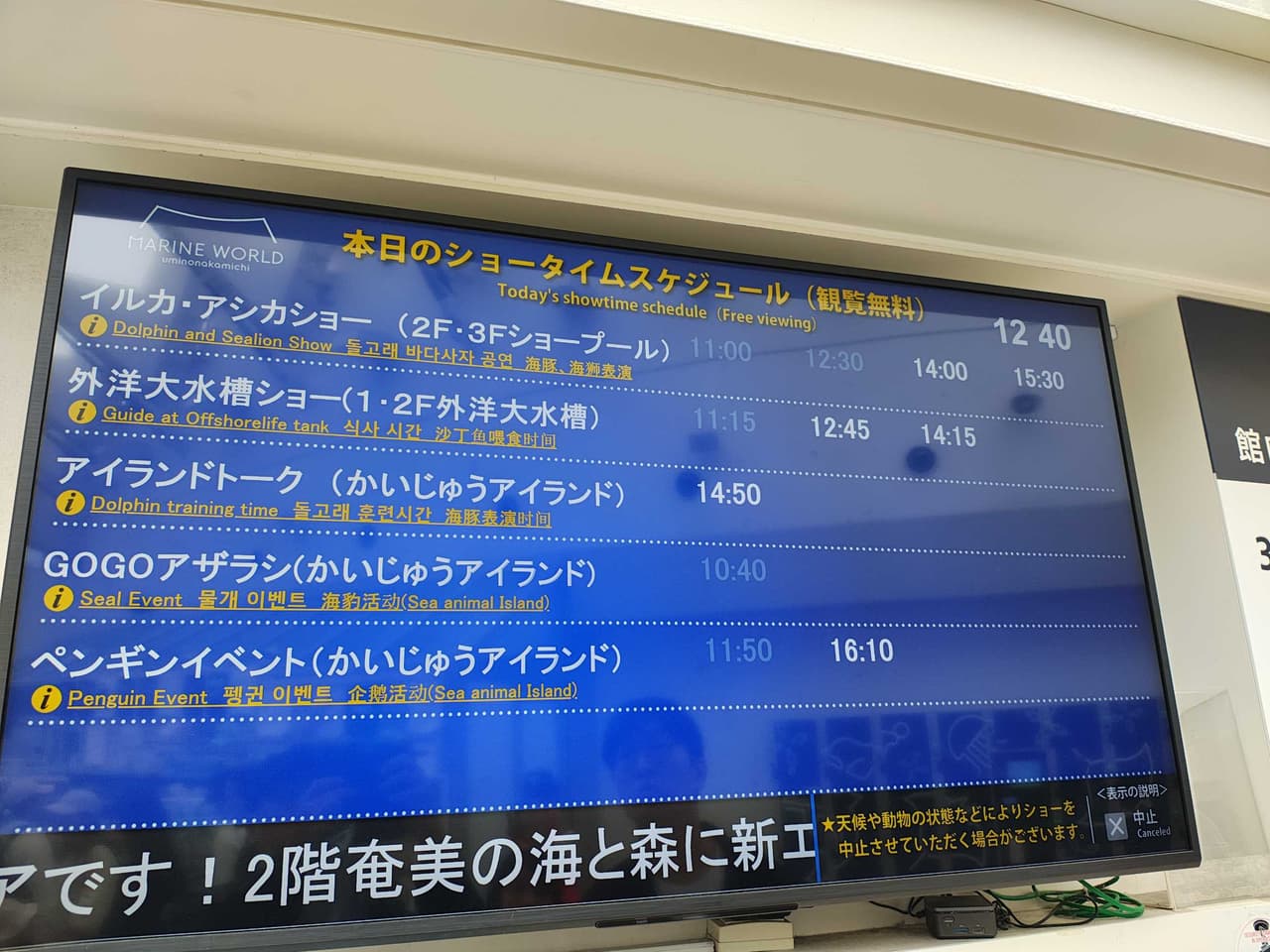 megapx