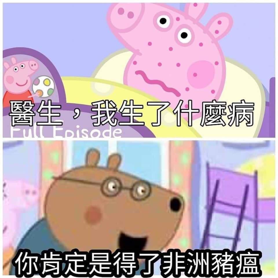 求佩佩豬梗圖 梗圖板 Dcard