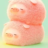 🐽豬崽崽