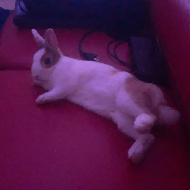 megapx