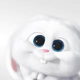 Dodo