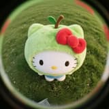 喵喵大學生😽