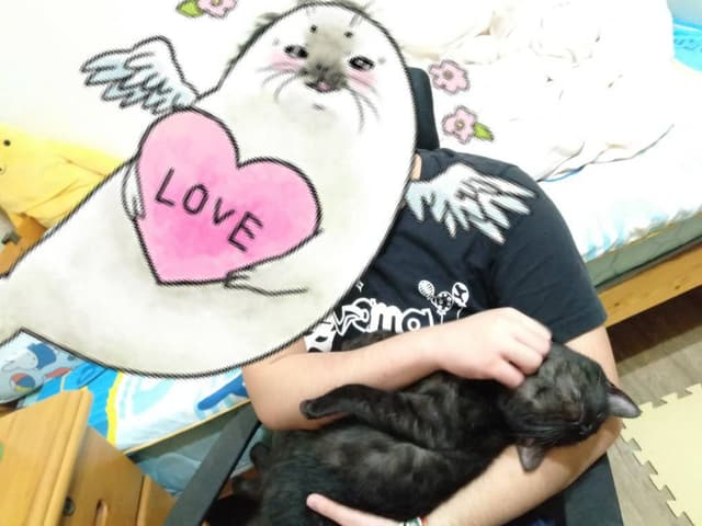 megapx