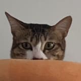 cocono123