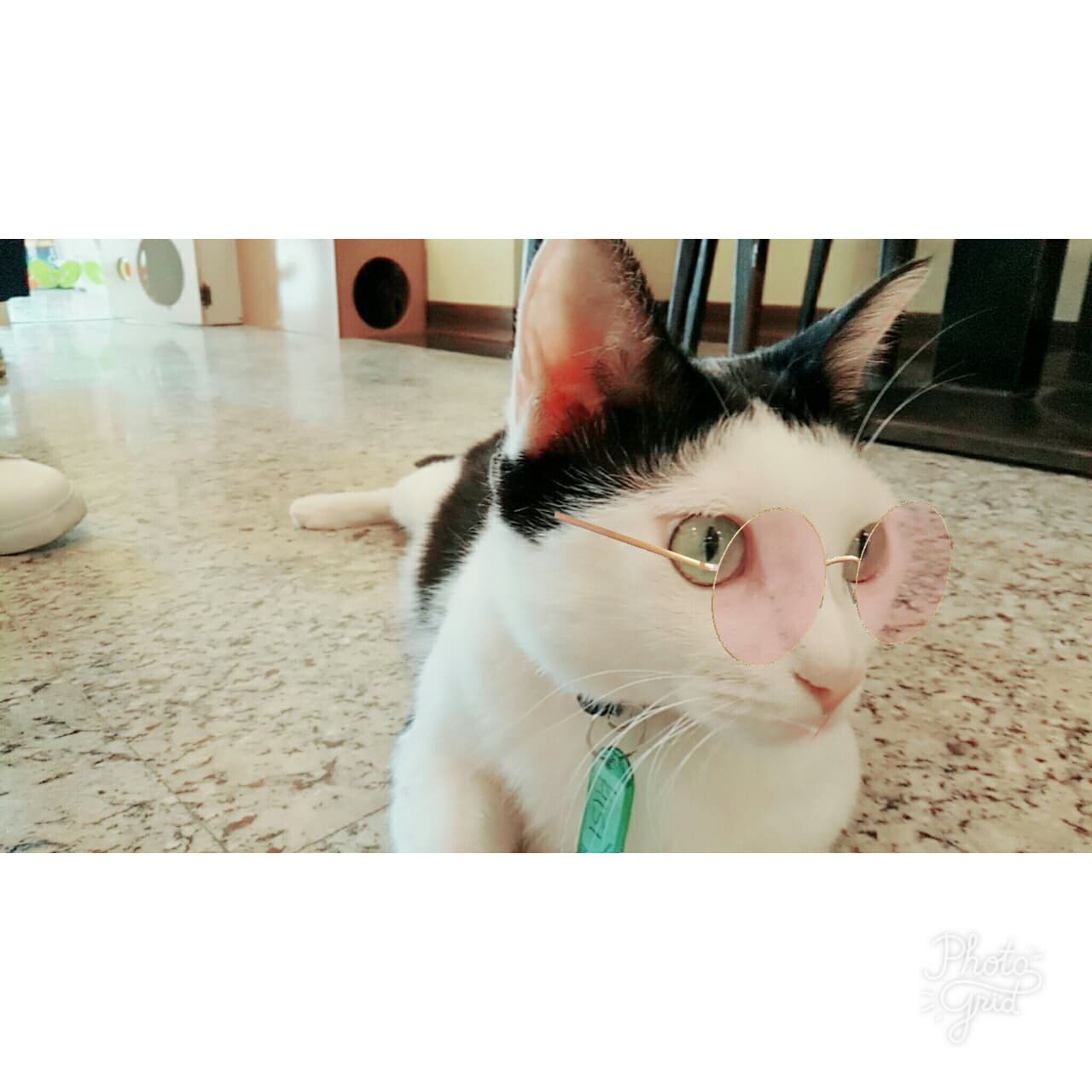 megapx