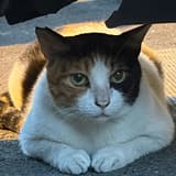 m11111223