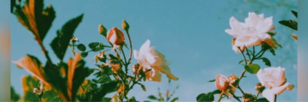 小太陽🐰