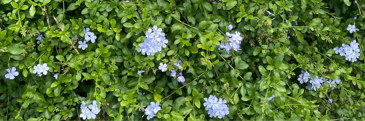 잘자