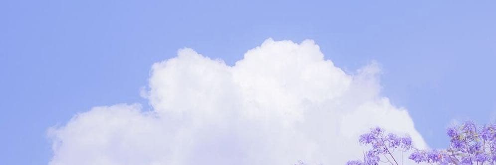 Nini