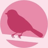 blacksparrow