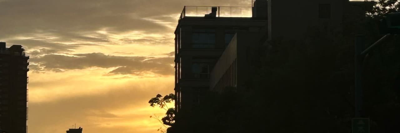 地瓜葉真的不錯吃
