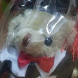 熊