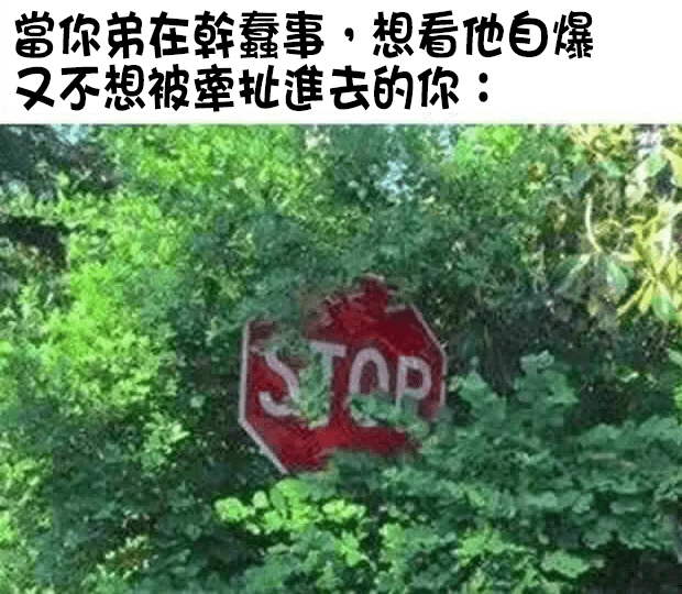 欸我有阻止他喔 - 梗圖板 | Dcard