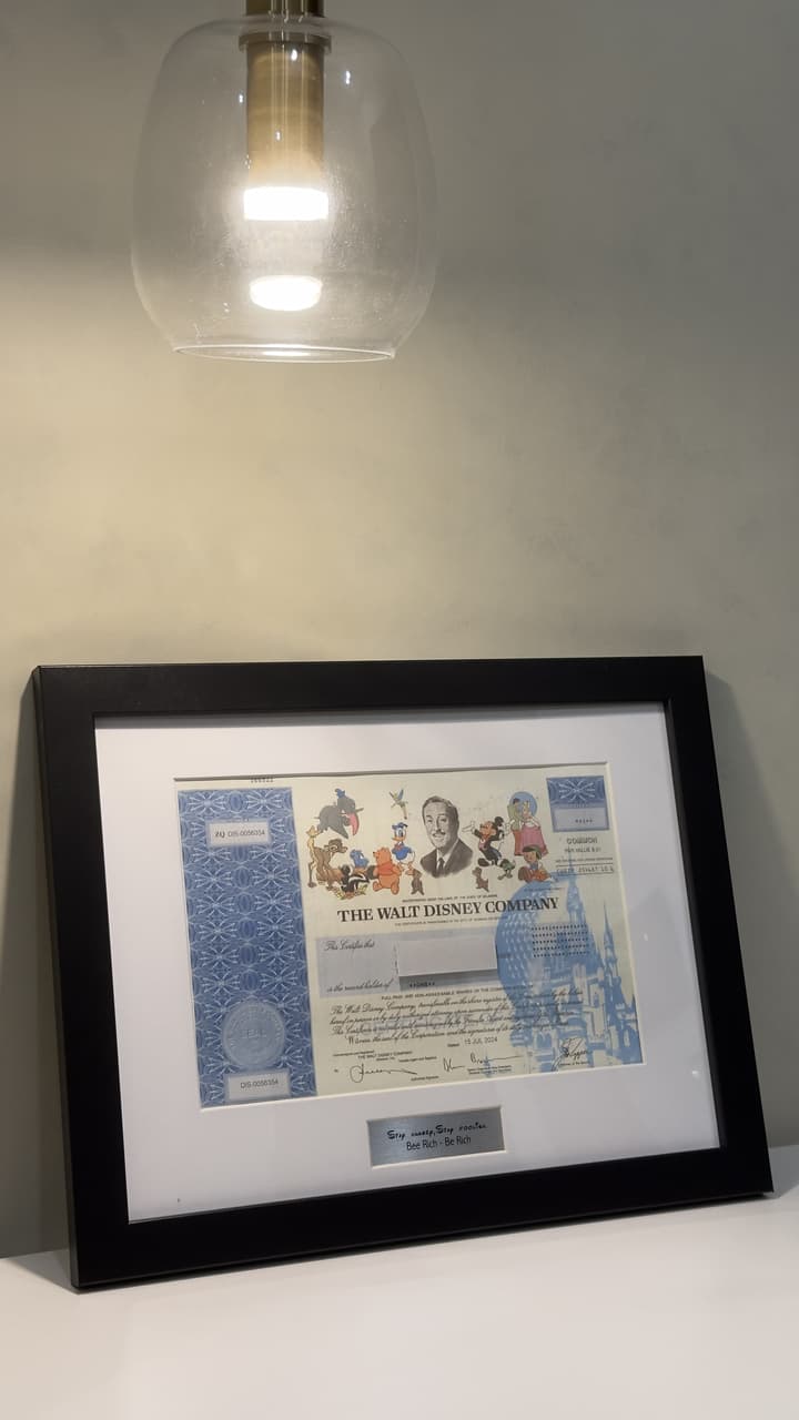 我買了一張迪士尼實體股票！實體股票怎麼買？這篇手把手教會你！ - 蜜蜂爹 (@beerich) | Dcard