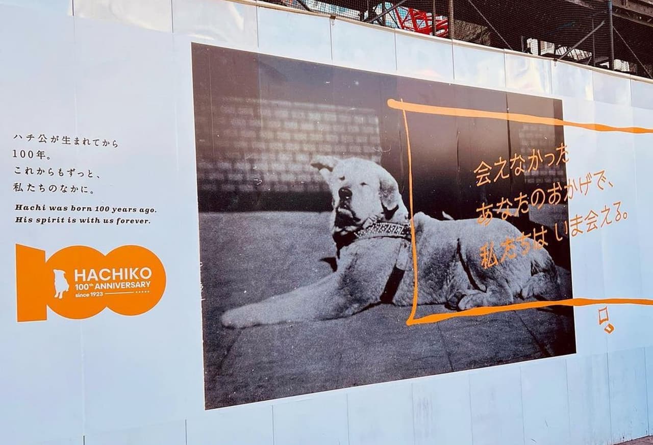 忠犬八公誕生100周年:澀谷車站前,世界最知名的秋田犬故事 - 轉角國際 (@udnglobal) | Dcard