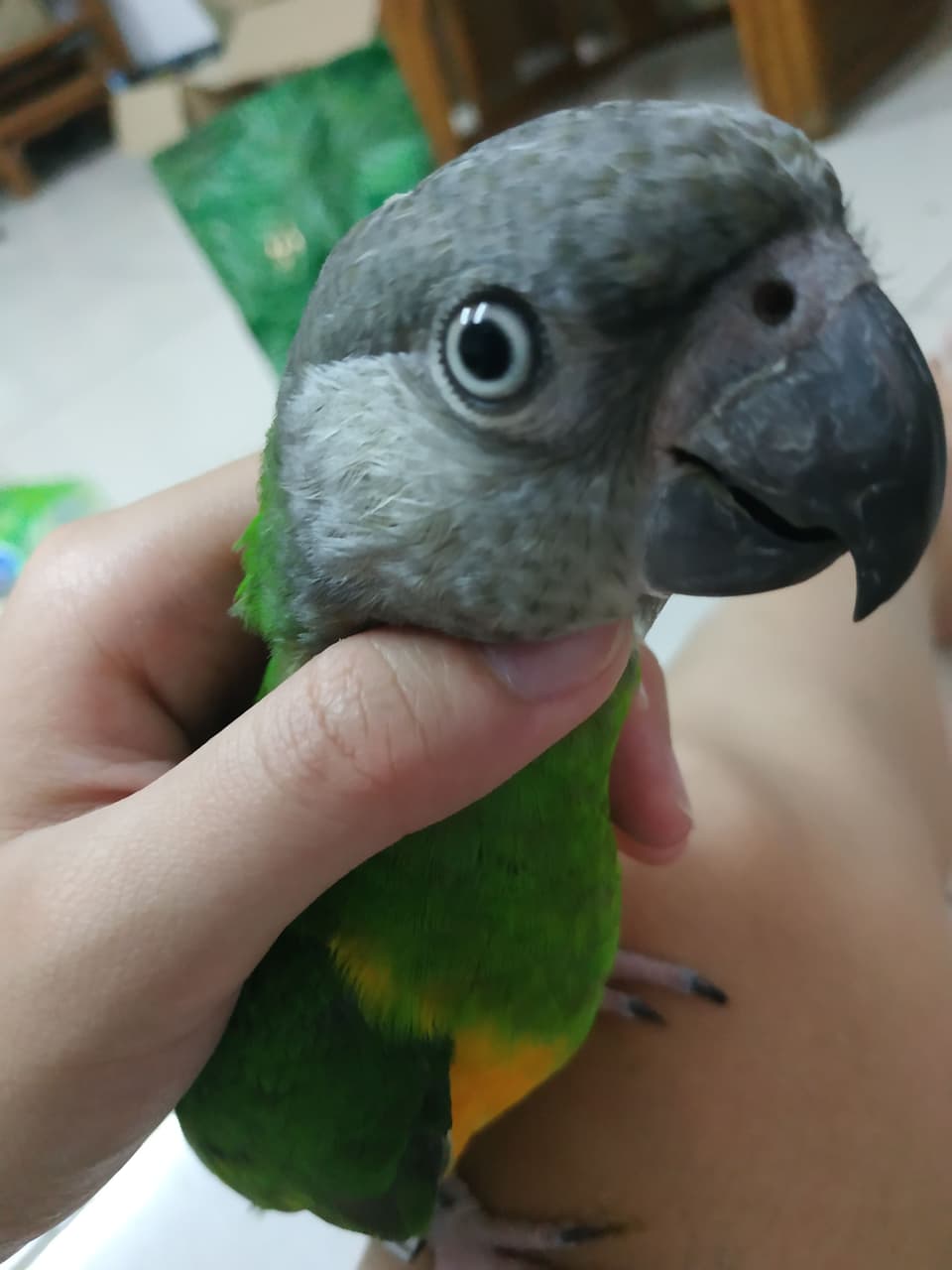 megapx
