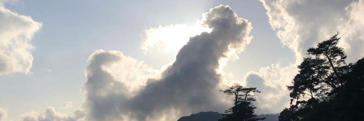 白鯨
