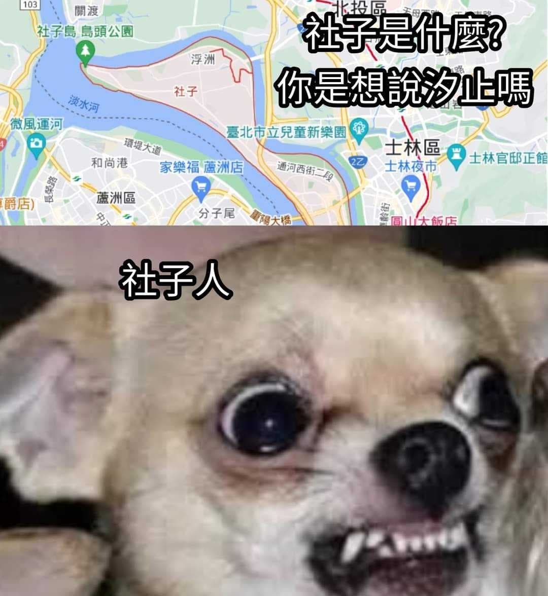 #創 過去30年與未來100年社子人的寫照 - 梗圖板 | Dcard