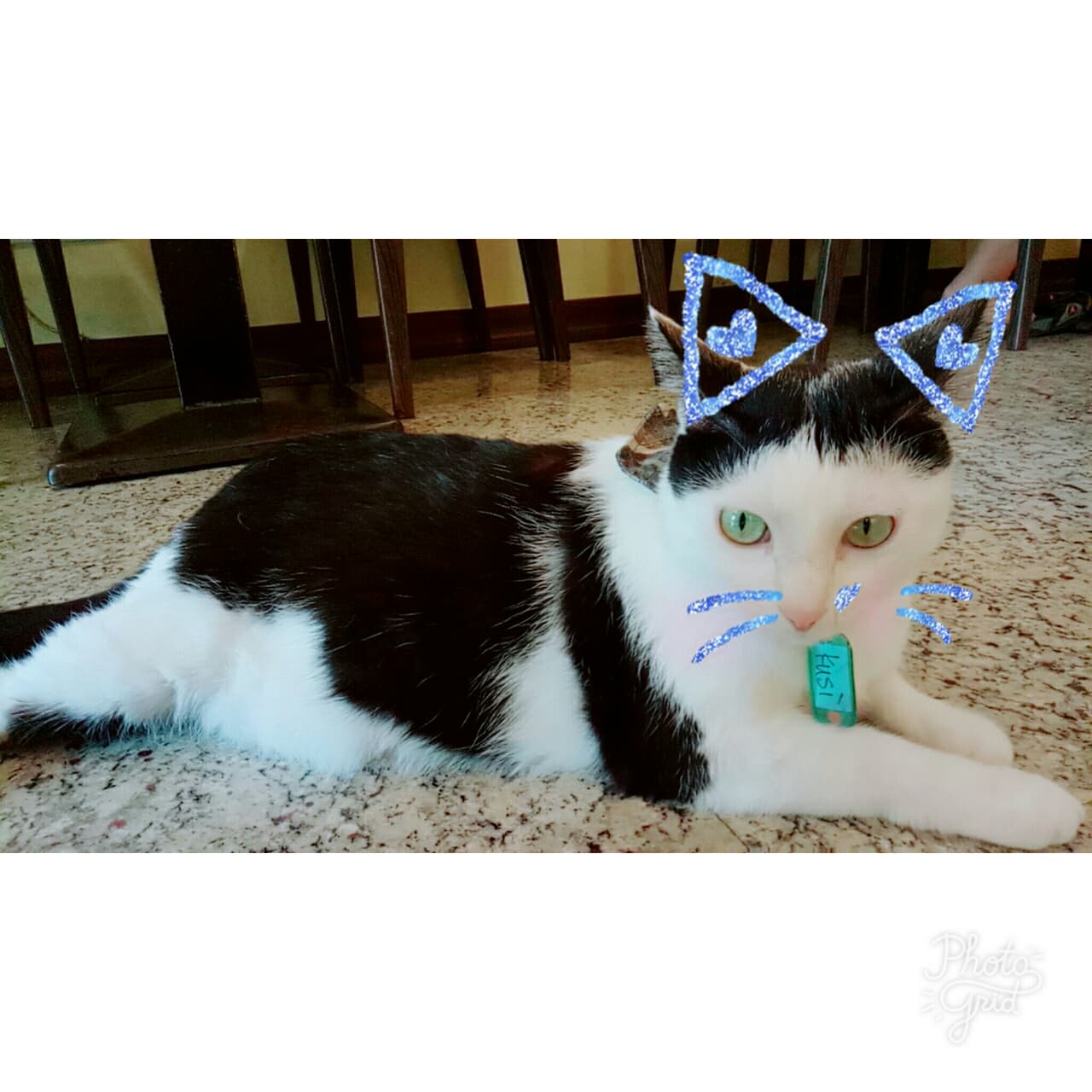 megapx