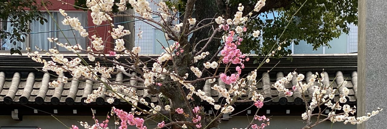 十年韓餐無人問