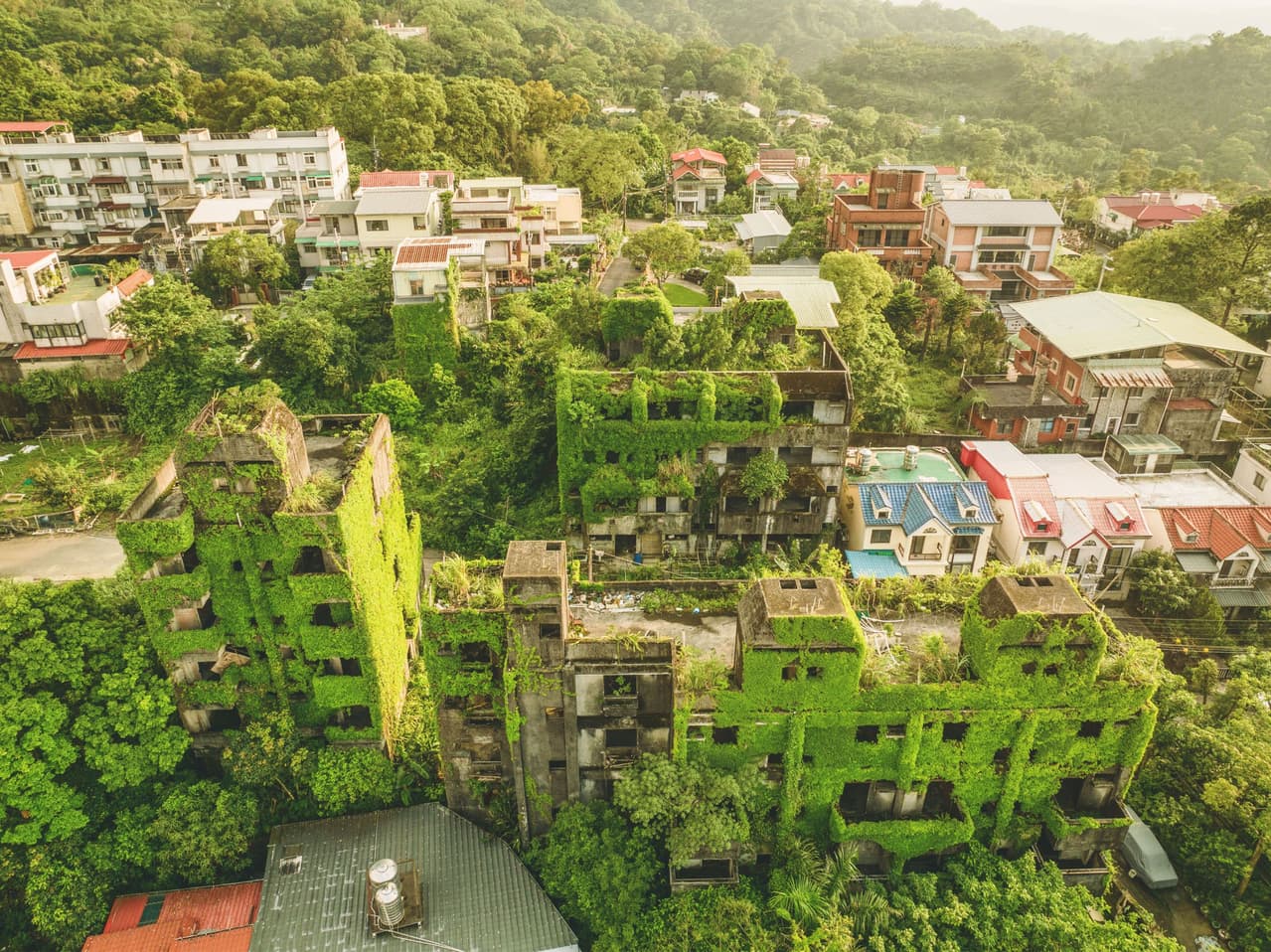 #作品 廢墟攝影-綠建築_天然的陶朱隱園 - 攝影板 | Dcard