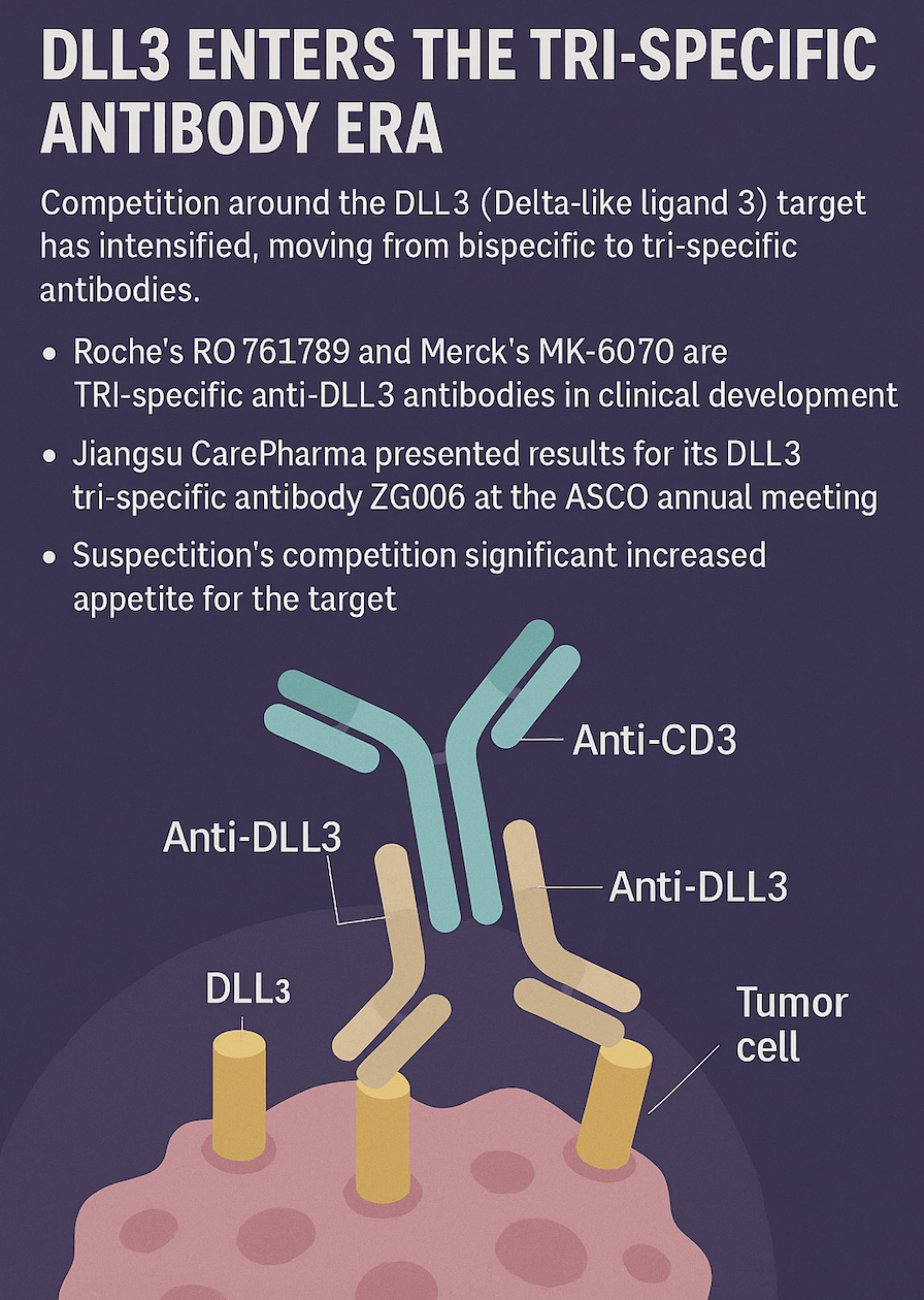 Dll3 Target 【DLL3捲入三抗大戰🔥】小細胞肺癌(SCLC)熱門靶點再進化,三特異抗體登場! - 藥時事 Drugnews (@drugnews) | Dcard