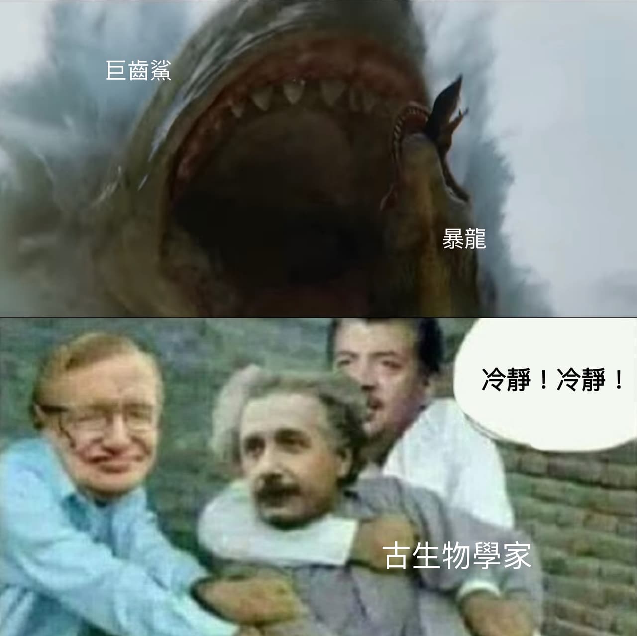 聽說最近巨齒鯊2預告出來了- 梗圖板| Dcard