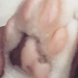 笑嘻嘻CC