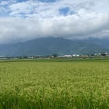 霏霏～