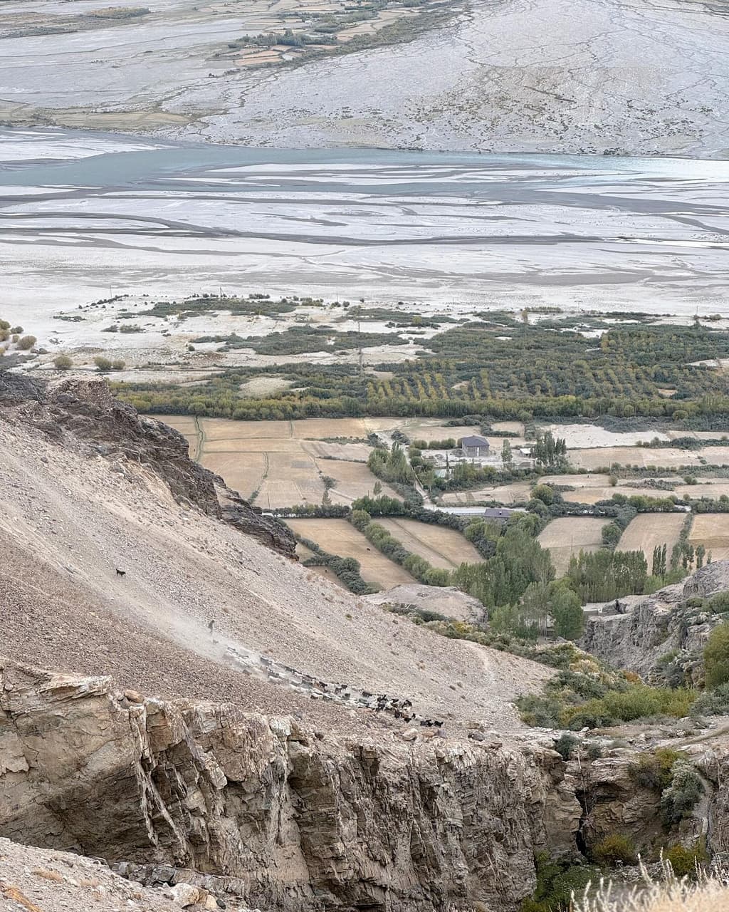 megapx
