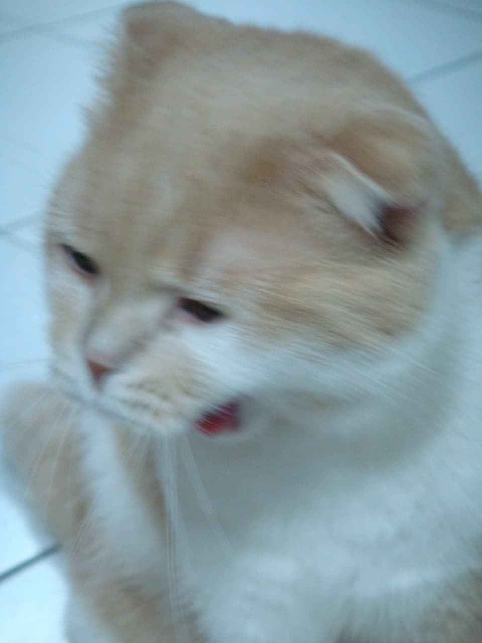 megapx