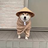 無敵豆一樣