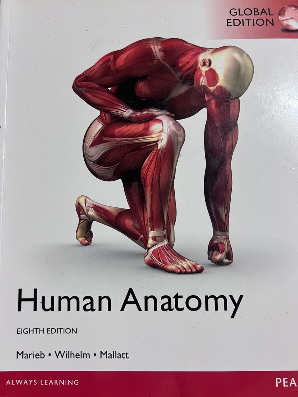 【售】原文書-Human Anatomy解剖學、Human Physiology人體生理學 - 考試板 | Dcard