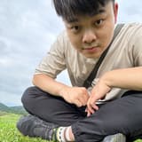 胖虎