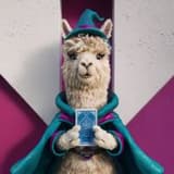 alpacatarot