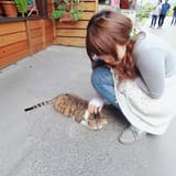 春眠不覺曉