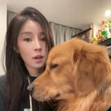 仙渡瑞拉再渡你媽