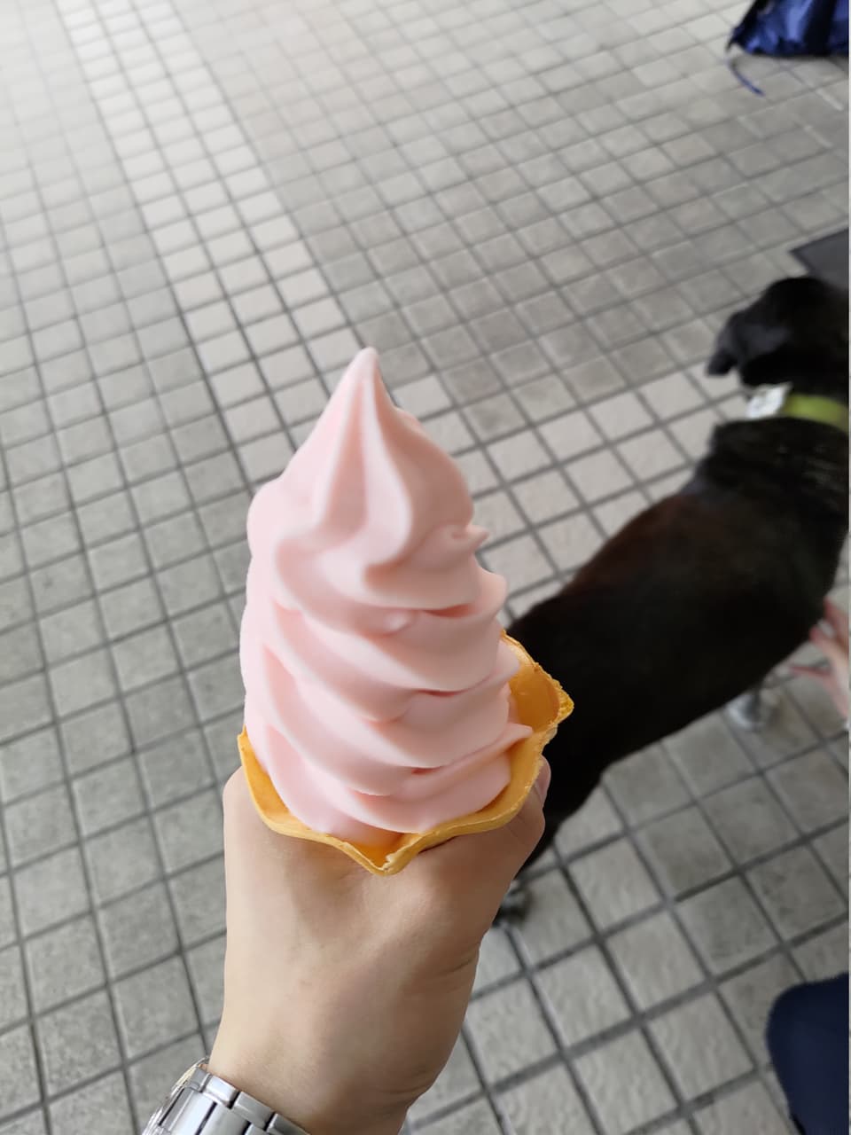 megapx