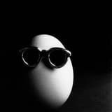 egg5945