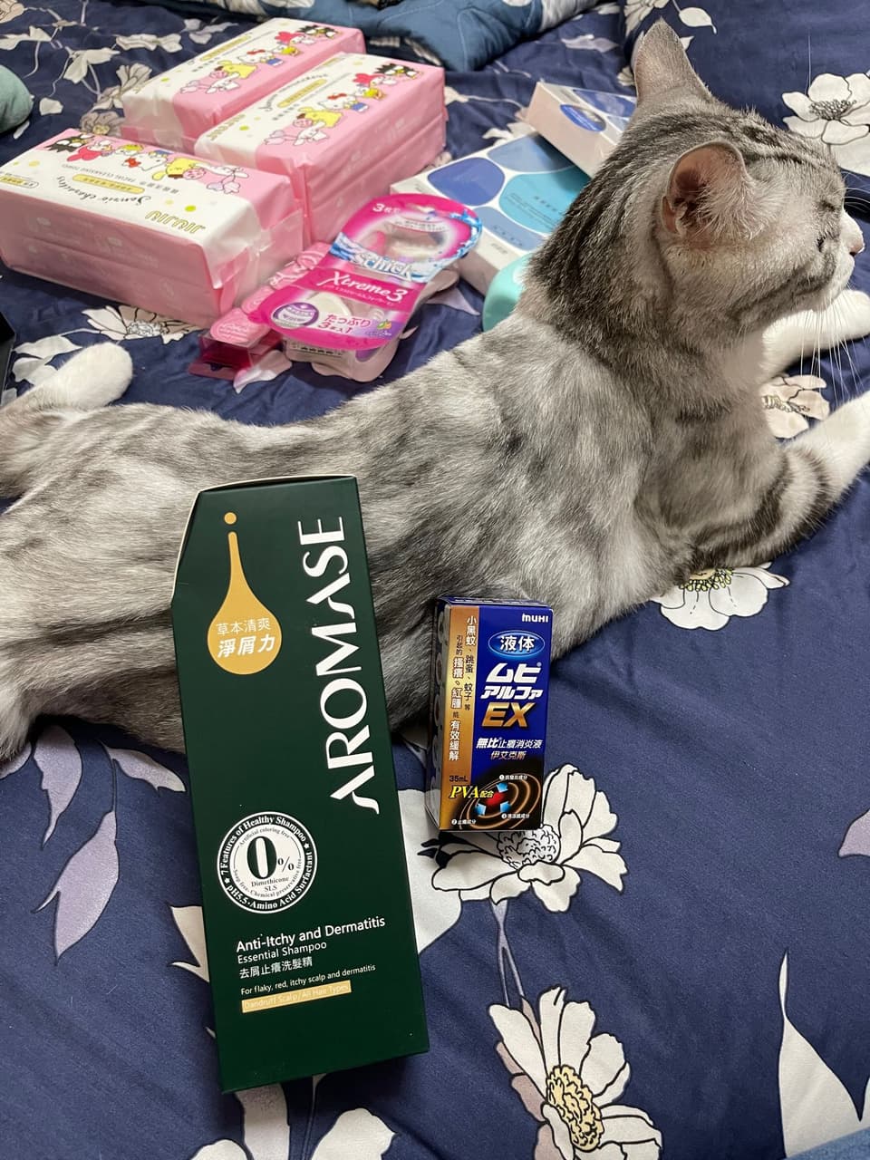 分享#圖～康是美門市買什麼😆🥲🤣 - 美妝板| Dcard